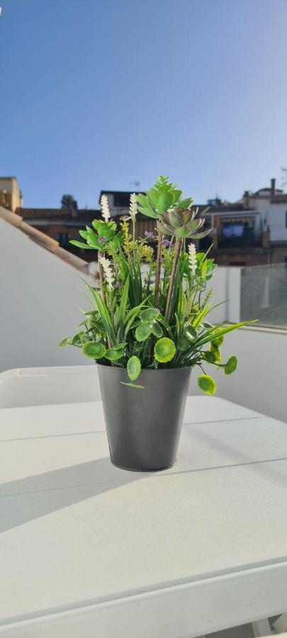 Appartamento ático Corazones *